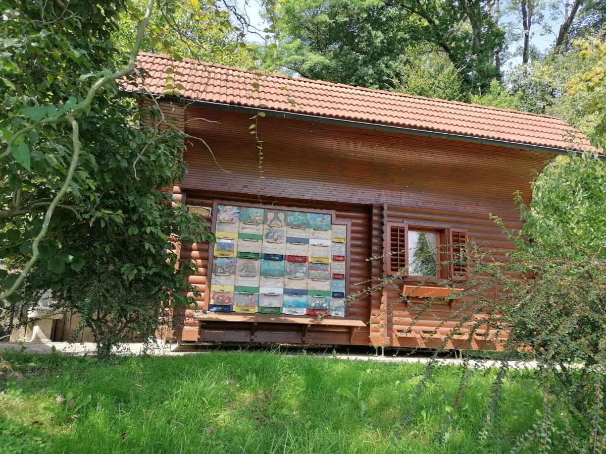 Apartments Bukor Lukovica pri Domžalah Екстериор снимка