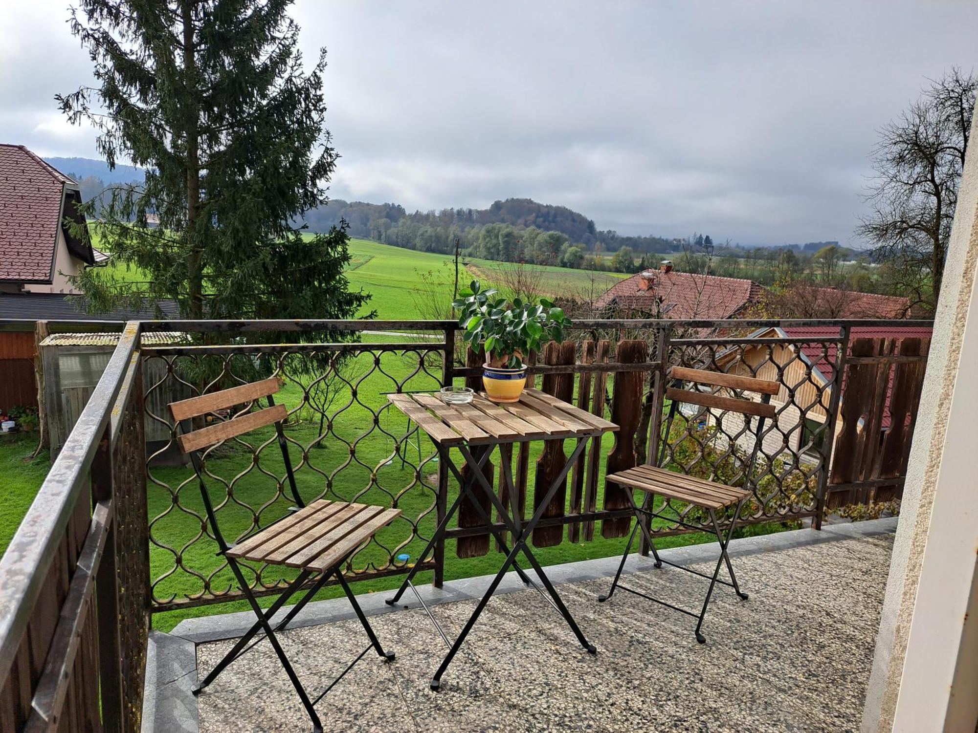 Apartments Bukor With Seasonal Pool Lukovica pri Domžalah Стая снимка